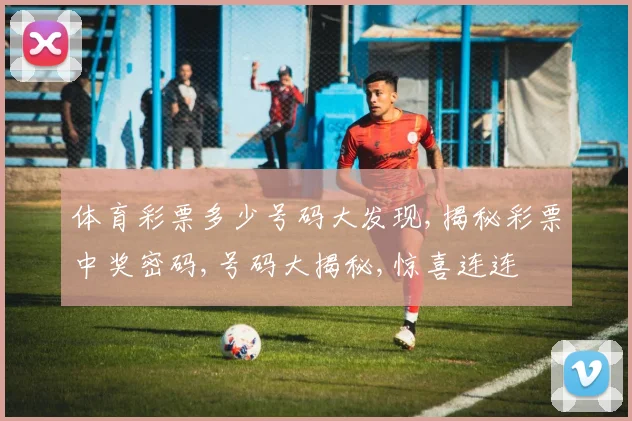 体育彩票多少号码大发现,揭秘彩票中奖密码,号码大揭秘,惊喜连连