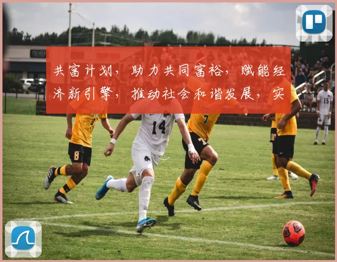 共富计划，助力共同富裕，赋能经济新引擎，推动社会和谐发展，实现全民共富梦想。