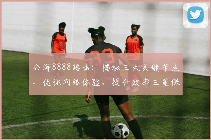 公海8888路由：揭秘三大关键节点，优化网络体验，提升效率三重保障